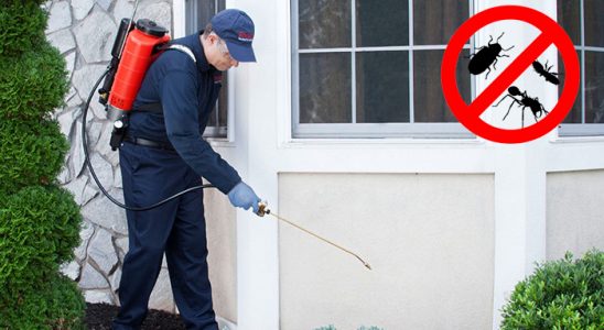 Canik Dezenfeksiyon böcek ilaçlama ve haşere kontrolü — ilaclama-tr.com
